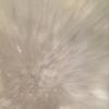 Bart Hodge - @bart.hodge0 - TikTok