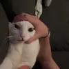 holdenbartoleit - @holdenbartoleit - TikTok