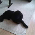 abbagagga - @bartholmesarmin2007 - Instagram