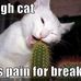 Bart Holmes - Facebook