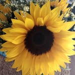 Sabine Bartholmeß - @bartholmesssabine - Instagram