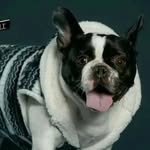 Barthô Mambull - @bartho_manbull - Instagram