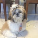 José Barthorlomeu - @barthornenem - Instagram