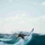 Bart Hubert - @barthubert16 - Instagram