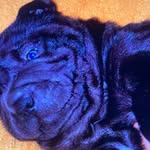 Barthuber Silvia - @barthuber_sil - Instagram