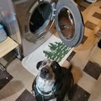 Jeffrey Bartlett - Facebook