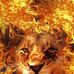 Barth Kane - Facebook