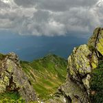 Bartka Nest - @bartkanest - Instagram