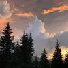 Bartka Nest - @bartkanest - TikTok