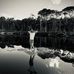 Bart Kelly - Facebook