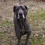 Bart Knapp - @bartknapp - Instagram