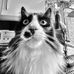 Bart Kowalski - Facebook
