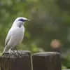 bartkuipers19 - @bartkuipers19 - TikTok