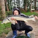 Bart lamberink - @lamberbart - Instagram