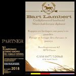 Bart Lambert - @bart.lambert.581 - Instagram