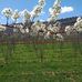 Lahcen Barnat - Facebook