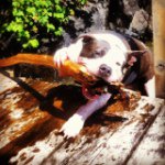 Bart Lawrence - @zeuccimane - Instagram