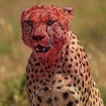 Bart Layne - @bart.layne - Instagram
