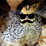 Bart Layne - @bart.layne.9753 - Instagram