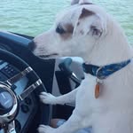 Bart Levine - @bart.levine.52 - Instagram