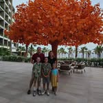 Bart Olson - @bartolson82 - Instagram
