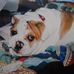 Bart Pennington - Facebook