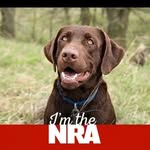 Bart Perlman - @bart_perlman543 - Instagram