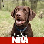 Bart Perlman - @bartperlman8816 - Instagram