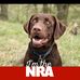 Bart Perlman - Facebook
