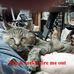 Bart Perlman - Facebook