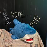 Bart the Shark - @bartpetersontheshark - Instagram