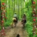 Amanda N Bart Pickett - Facebook