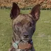 bartpielaat_oki - @bartpielaat_oki - TikTok