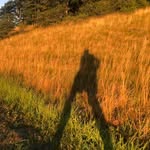 Bart Poulin - @plboxton - Instagram