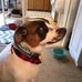 Bart Powell - Facebook