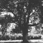 Bart Ramsey - @bart.ramsey.77 - Instagram