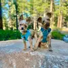 RamseyBartley - @ramseyandbartley - TikTok