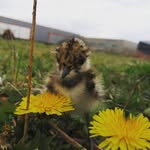 Bart Reedeker - @bartreedeker - Instagram