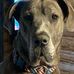 Bart Richards - Facebook