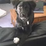 Bart Richards - @bart.richards.9 - Instagram