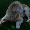 Barton Riddle - @barton.riddle - TikTok