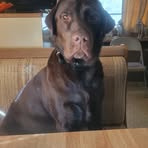Bart Richey - Facebook