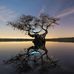 Bart Rizzo - Facebook