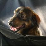 Bart Romano - @bart.romano - Instagram