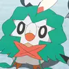 TheRowlet - @batrowlet - TikTok