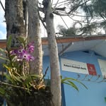 Cei Robert Rudolph Barth - @cei_robertrudolphbarth - Instagram