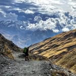 @bart_ryan - Instagram