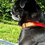 BartRyan - @bartty_boo - Instagram