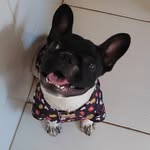 Bart salgado - @bart202189 - Instagram