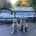 Bart Sargent - @sargentbart - Instagram
